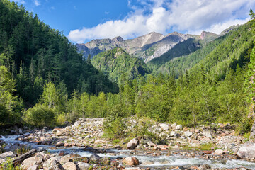 Stream in a mountain valley in Siberian mountains
