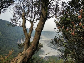 Tangkuban Parahu Mount's crater