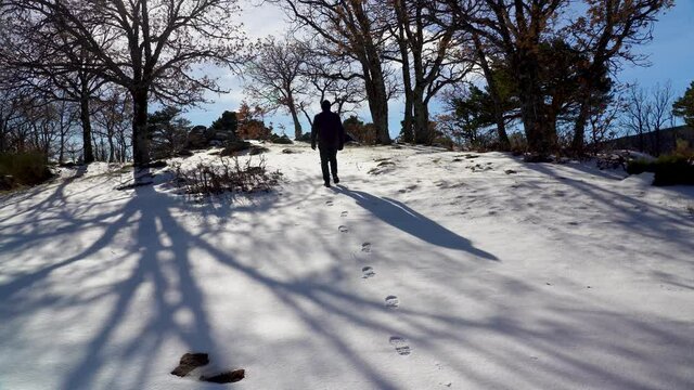 Man hiking in the mountains among trees with freshly fallen snow. Guadarrama Madrid.