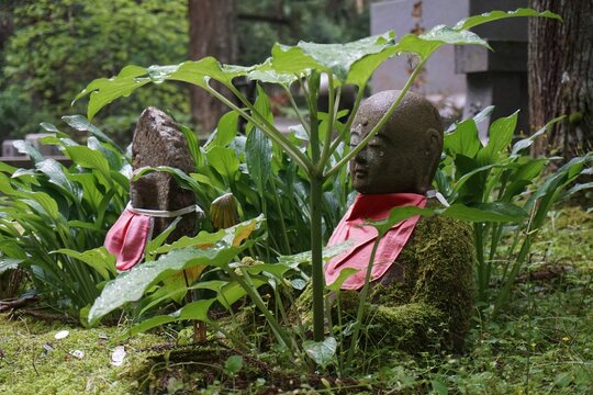 お地蔵さんの傘