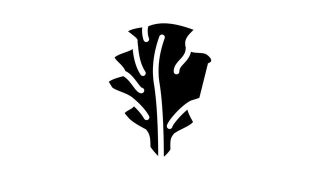 ulva lettuce seaweed animated glyph icon ulva lettuce seaweed sign. isolated on white background