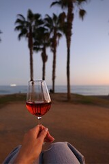 person drinking wine at sunset