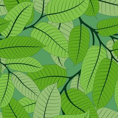 SEAMLESS PATTERN WITH LIGHT GREEN VIROLA BRANCHES ON MINT BACKGROUND IN VECTOR