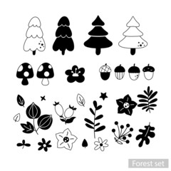 Obraz premium Monochrome set with forest plants