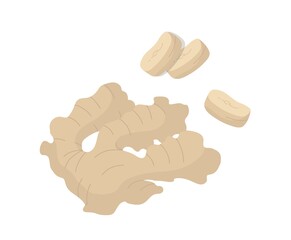 Ginger root and pieces. Spices. Antiflu. Isolated vector colorful element. 