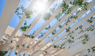 Pergola for summer terrace and sun protection