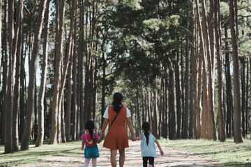 Fototapeta premium Mother and two daughters holding hands and take a walk in the pine forest on a spring day.