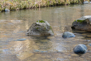 Fototapeta na wymiar Mountain river among stones and trees. Close-up of boulders in water. Huge stones in green moss. Bbeautiful landscape of fast river with small whirlpools and waterfalls around stones.
