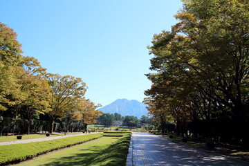 秋の吉野公園の入り口