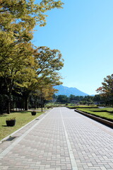秋を迎えた吉野公園の風景