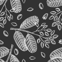 Hand drawn phistachio branch and kernels seamless pattern. Organic food vector illustration on chalk board. Retro nut illustration. Engraved style botanical background.