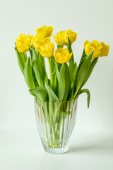 Yellow tulips in the vase on white background
