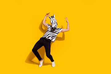 Foto in voller Größe von absurdem Freak-Typ in Zebramaske, Rocker-Tanzthema, festlichem Ereignis, Hände hoch, isoliert über leuchtend gelbem Hintergrund