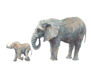 Elephant family. Watercolor wild animals illustration isolated on white background