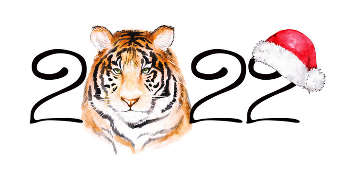 Year 2022, drawing with the head of an animal tiger