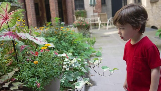 One isolated caucasian boy touching the plants and flowers in exterior garden