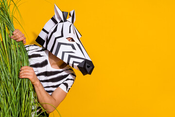 Photo of funny funky guy dressed wild animal costume hiding behind high grass looking empty space...