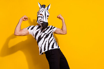 Photo of weird incognito anthropomorphic zebra guy show muscular body arms isolated over shine...