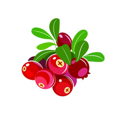 Cranberry, berry no background, flat style, vector