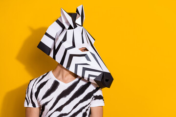 Photo of funky confident man wear zebra print t-shirt mask looking empty space isolated yellow color background