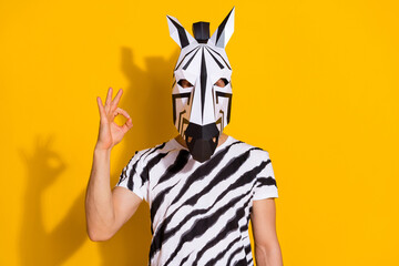 Photo of festive weird zebra character guy advertise theme festival show okey symbol isolated over bright yellow color background