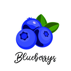 Blueberry, berry no background, vector