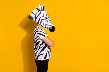 Profile side photo of bizarre fantasy guy in zebra costume cross arms look empty space isolated...