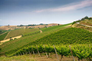 Fototapeta na wymiar Country landscape near Ripatransone, Marche, Italy