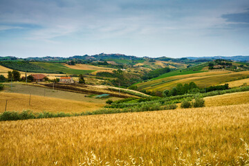 Country landscape near Offida, Marche, Italy
