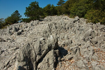 Rocks on the hiking trail from Sistiana to castle Duino, Italy, Europe

