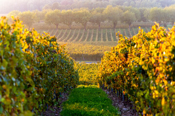 Autumn season in Franciacorta, Brescia Province in Lombardy district, Italy.