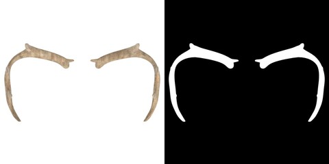 3D rendering illustration of antlers