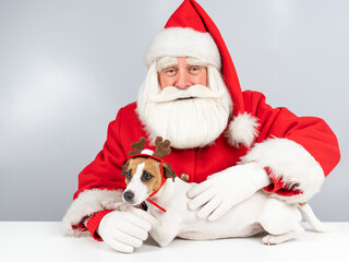 Santa claus and jack russell terrier dog dressed as a reindeer, santa's helper on a white background.