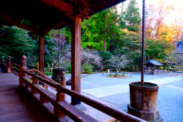 古都鎌倉にある、比企能員ゆかりの古刹、妙本寺の祖師堂