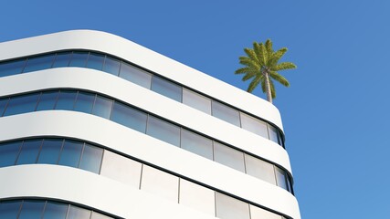 one palm tree on the roof building