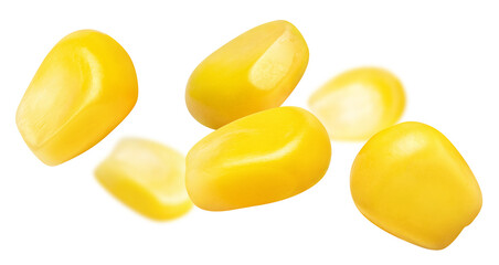 Tasty corn seeds, isolated on white background