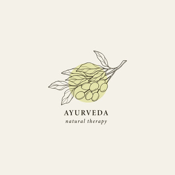 Hand Drawn Ayurveda Logo. Neem Illustration
