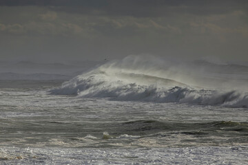 Stormy wave with spray