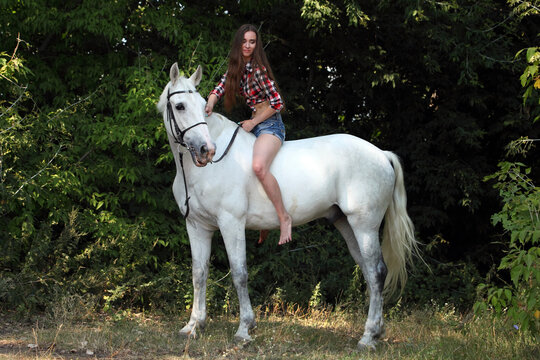 Beautiful cowgirl bareback ride her horse in woods glade at sunset