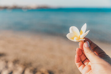 A woman's hand holds an orchid flower bud on a coastline background