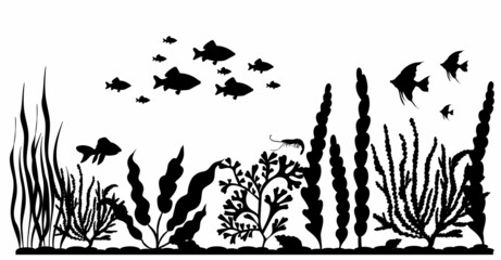 floating fish in seaweed silhouette, isolated, vector © zolotons