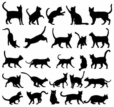 cat set black silhouette, isolated, vector