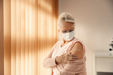 Immunization and health care concept. A senior woman with a face mask standing in the doctor's...