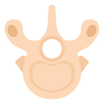 Thoracic Vertebra Flat Icon