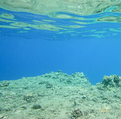 Underwater background