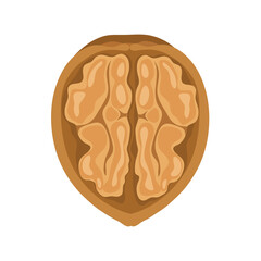 half a walnut in the shell