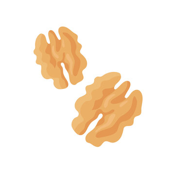 walnut without shell