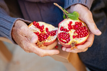 Ripe organic broken pomegranate, cut in half in senior hands .Selective focus,top view.
