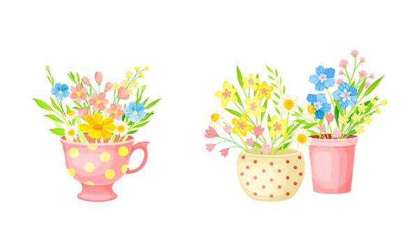 Bouquets of summer or spring wildflowers in flower pots and teacup set vector illustration