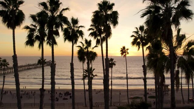 San Clemente Beach with Palm Tree Silhouettes during Beautiful Sunset - Aerial
